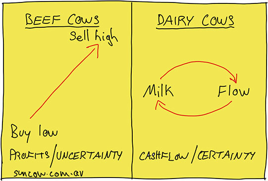 Suncow 2 Cows Strategy: Beef cows (buy low, sell high, uncertainty) versus dairy cows (milk flow, certainty) retirement income approach